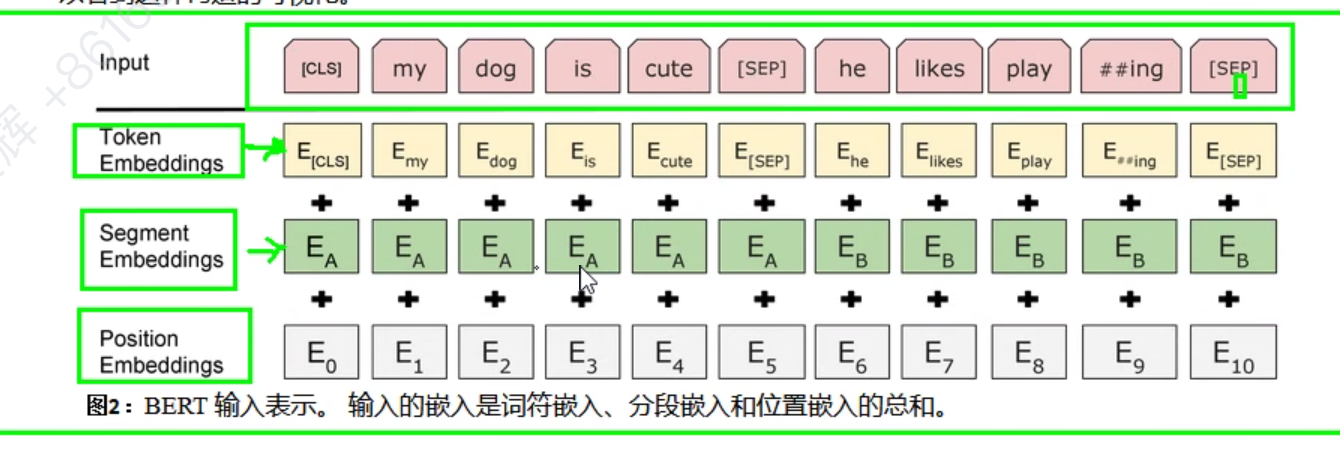 image-20250316165604714