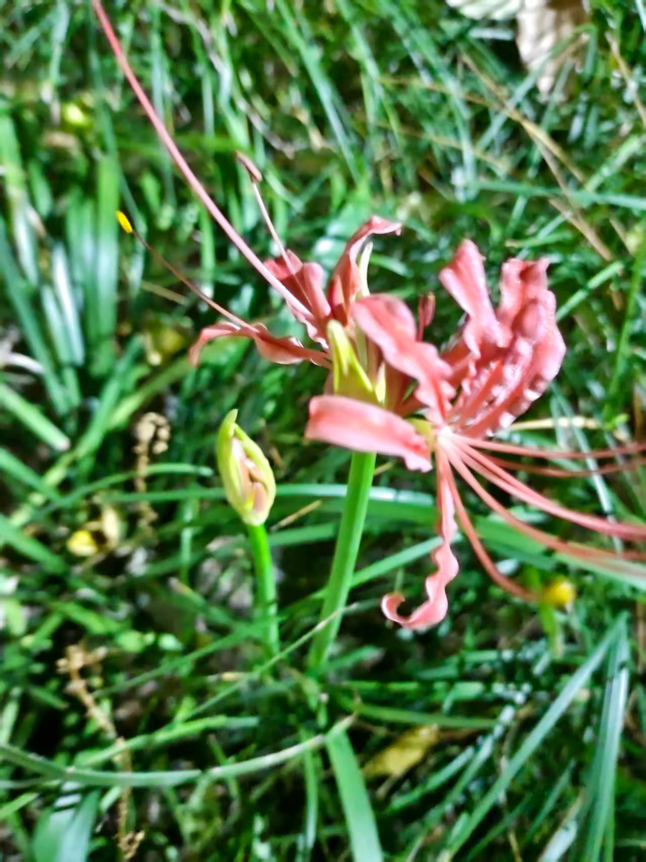 image-20251029235927275