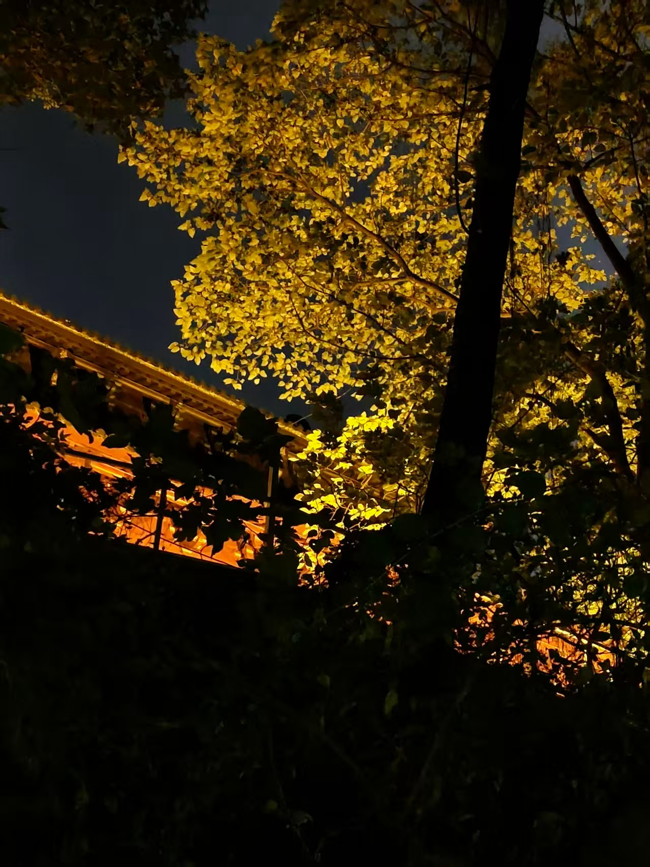 image-20251030000016224